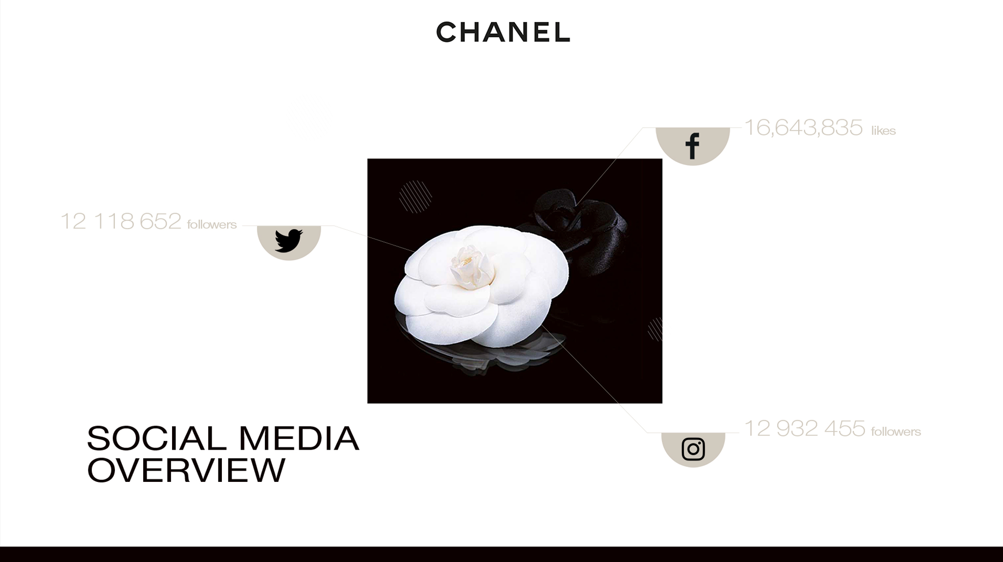 chanel-slider5